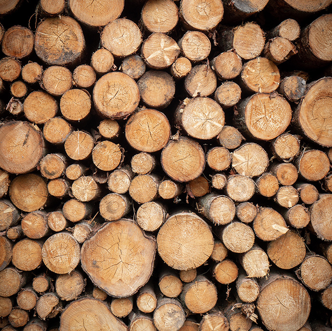 Stacks of raw, unworked lumber showing cut end